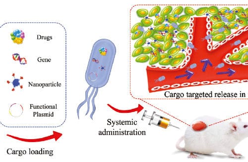 Microbes in Oncology Controllable Strategies for Bacteria Therapy