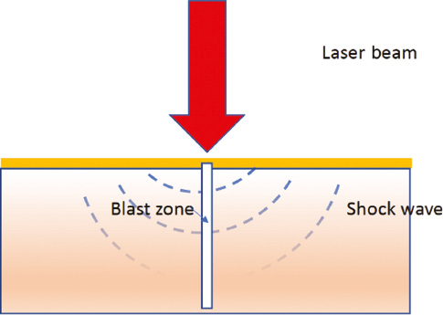 bioi-2020-0043-f02.jpg