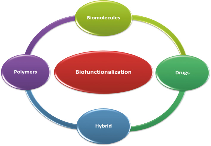 bioi-2020-0047-f02.jpg