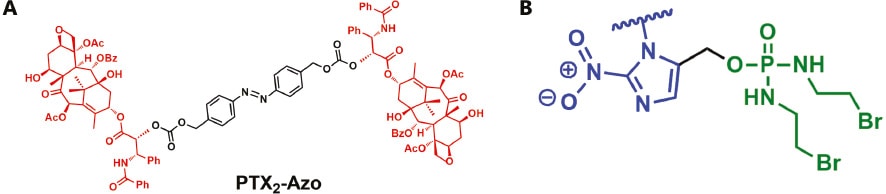 bioi-2021-0011-f04.jpg