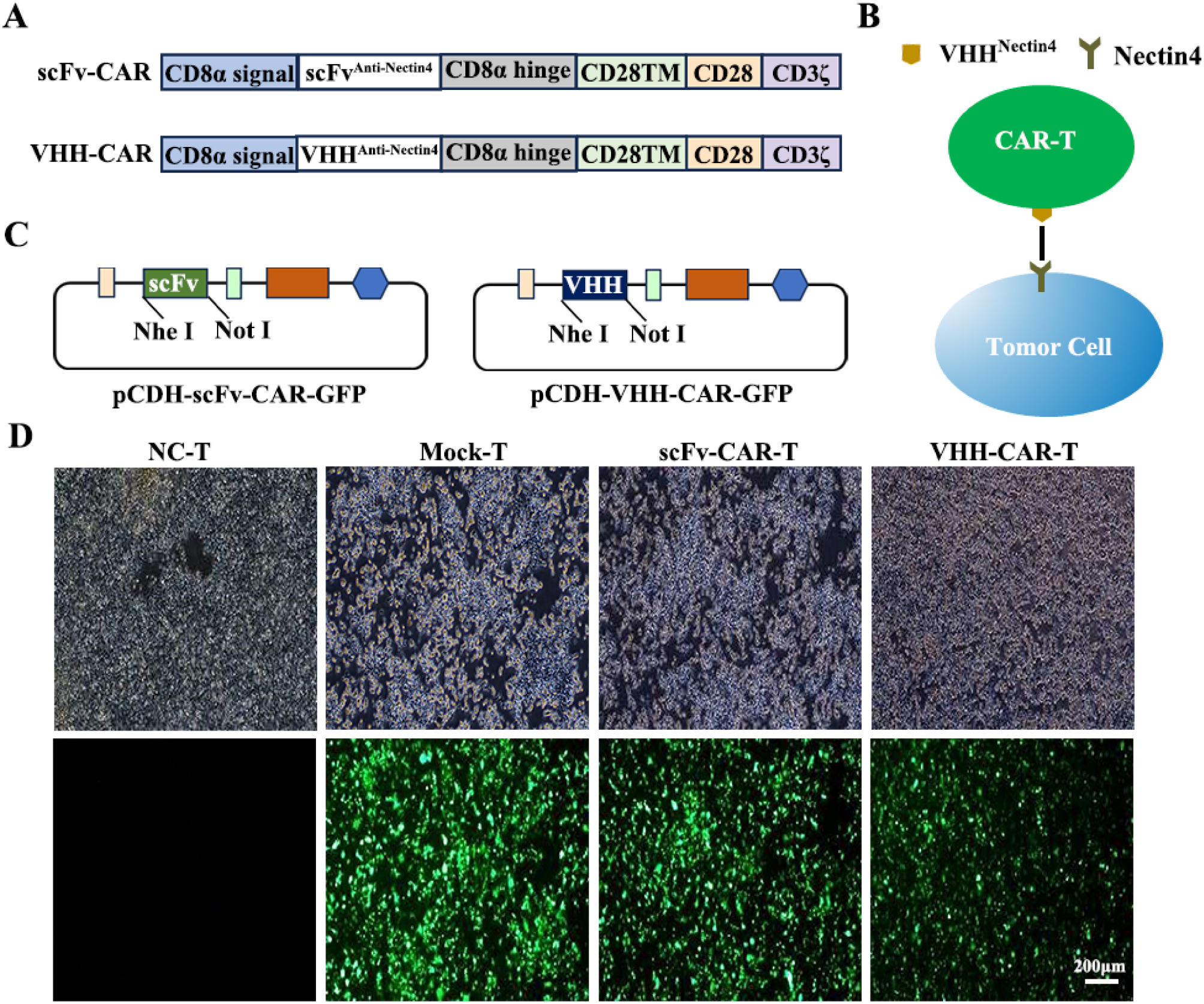 Next follows the figure caption