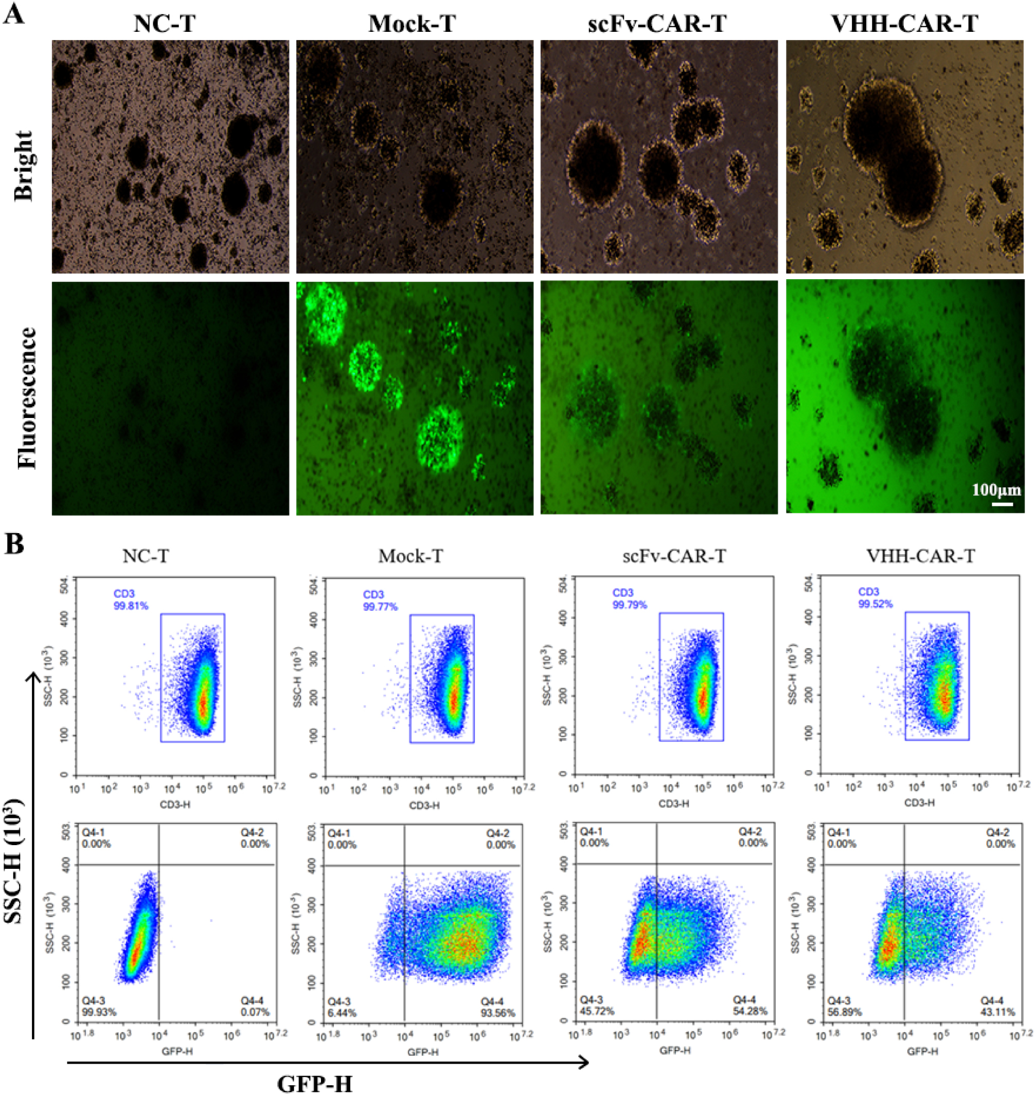 Next follows the figure caption