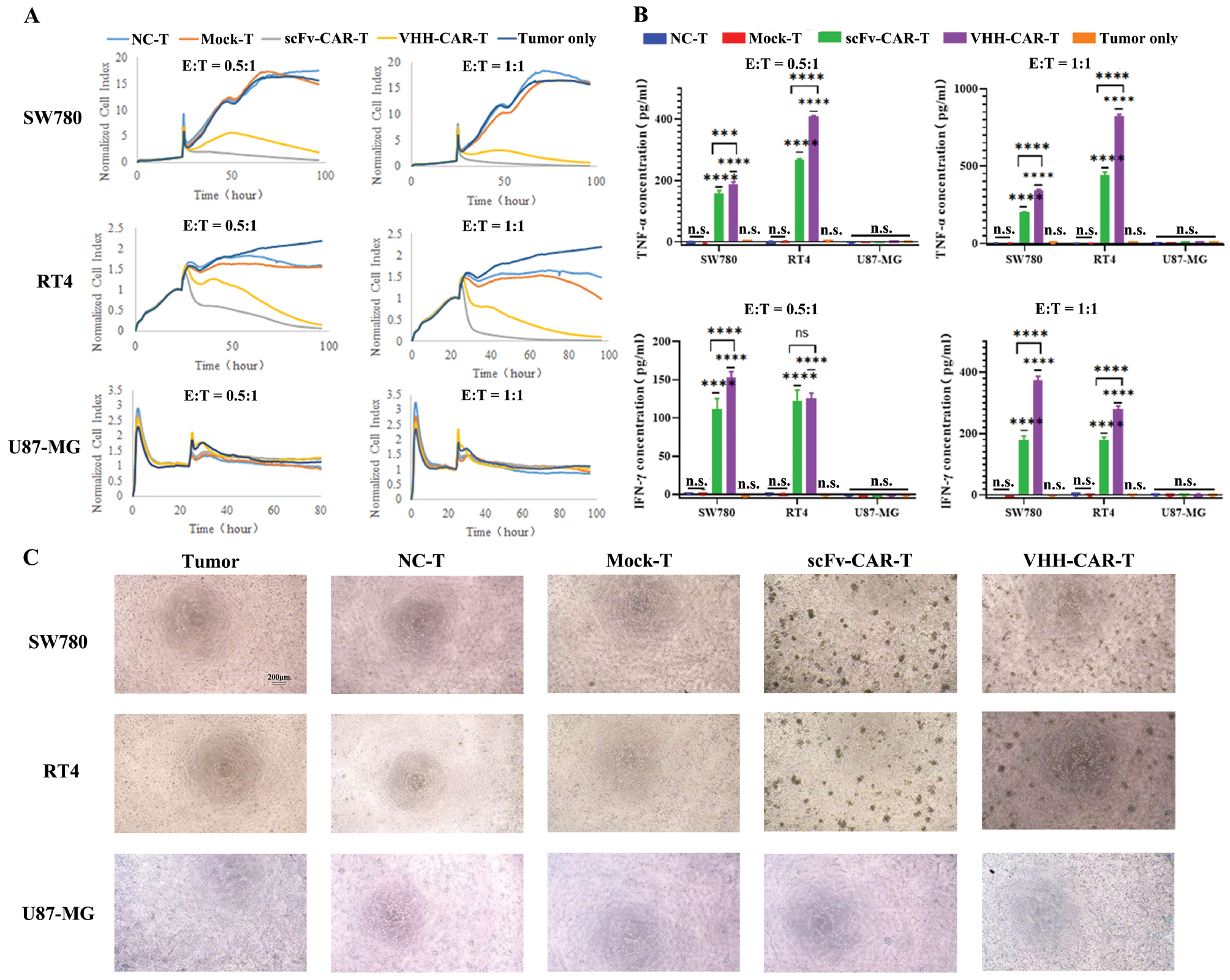 Next follows the figure caption