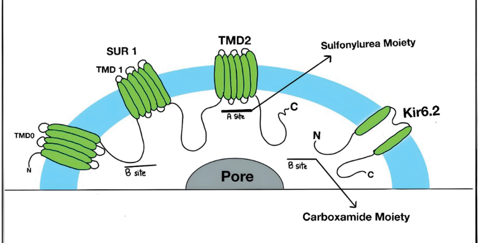 Next follows the figure caption