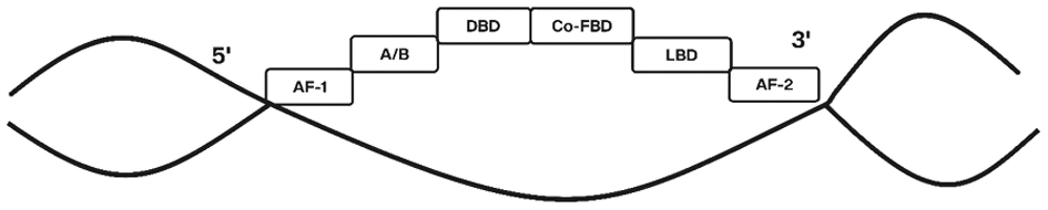 Next follows the figure caption