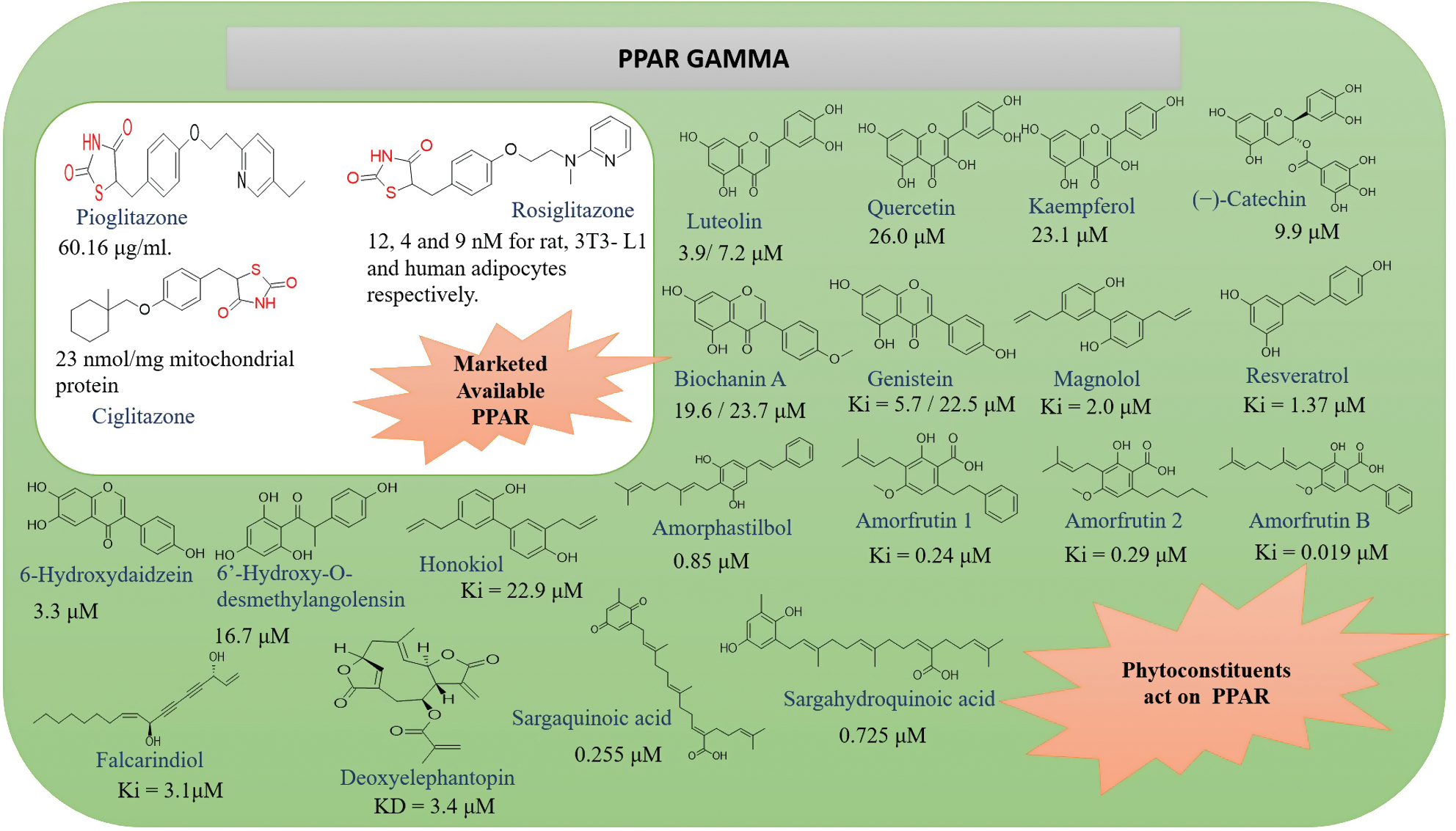 Next follows the figure caption