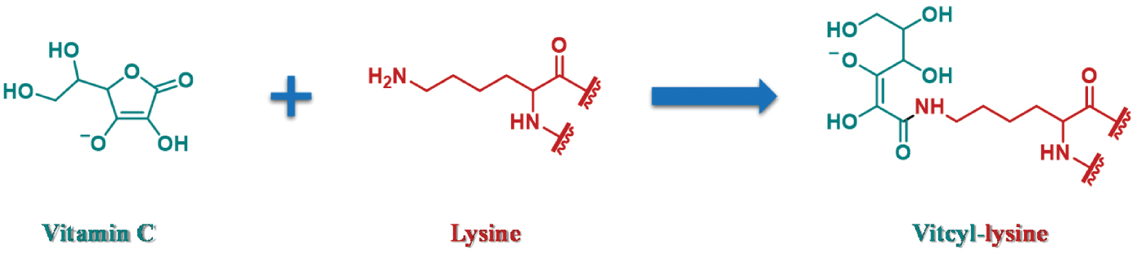 Next follows the figure caption