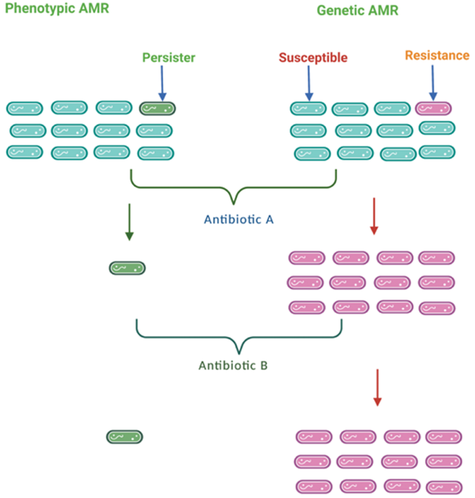 Next follows the figure caption