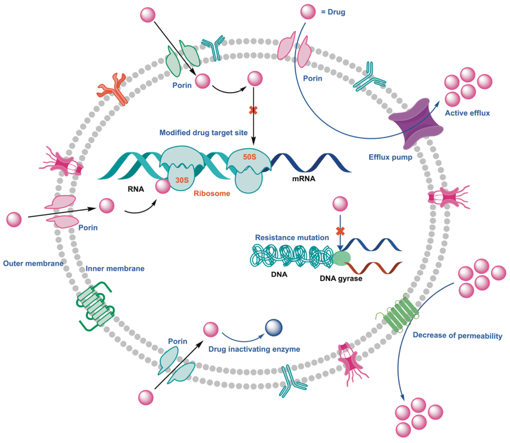 Next follows the figure caption