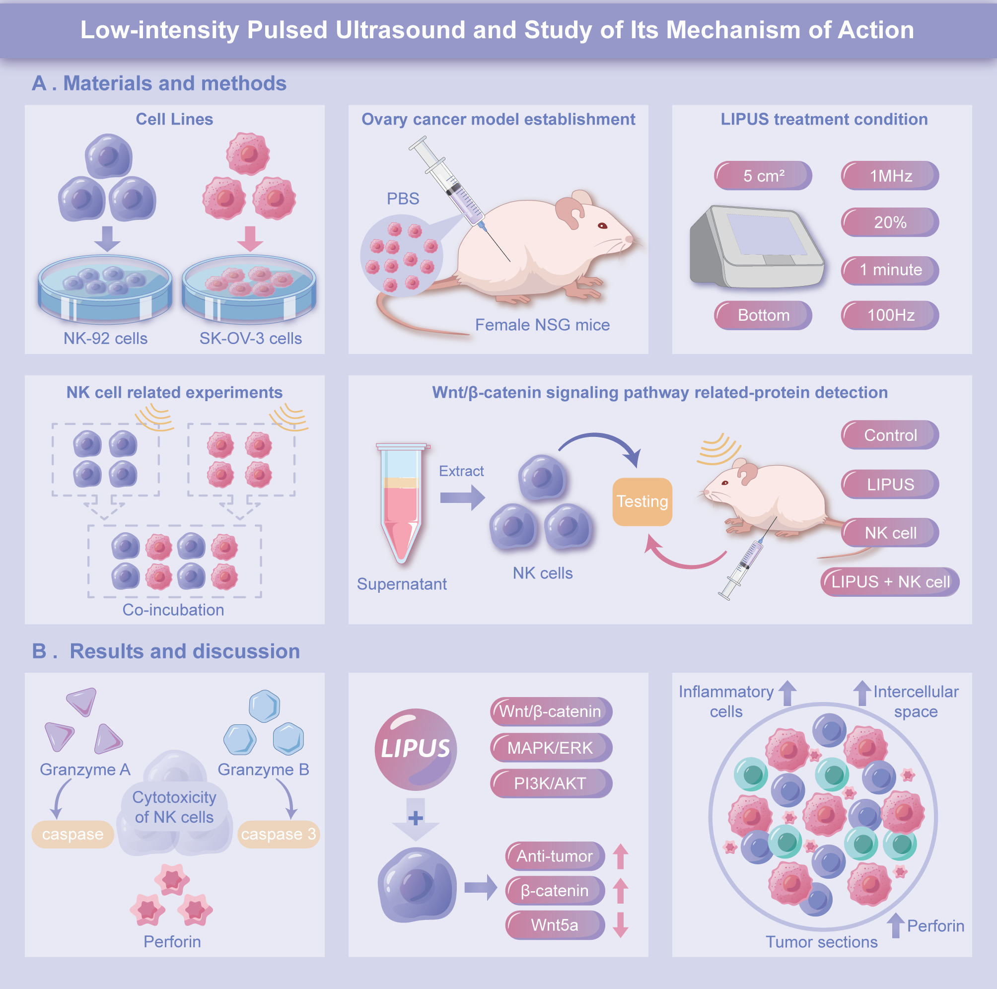 Next follows the figure caption