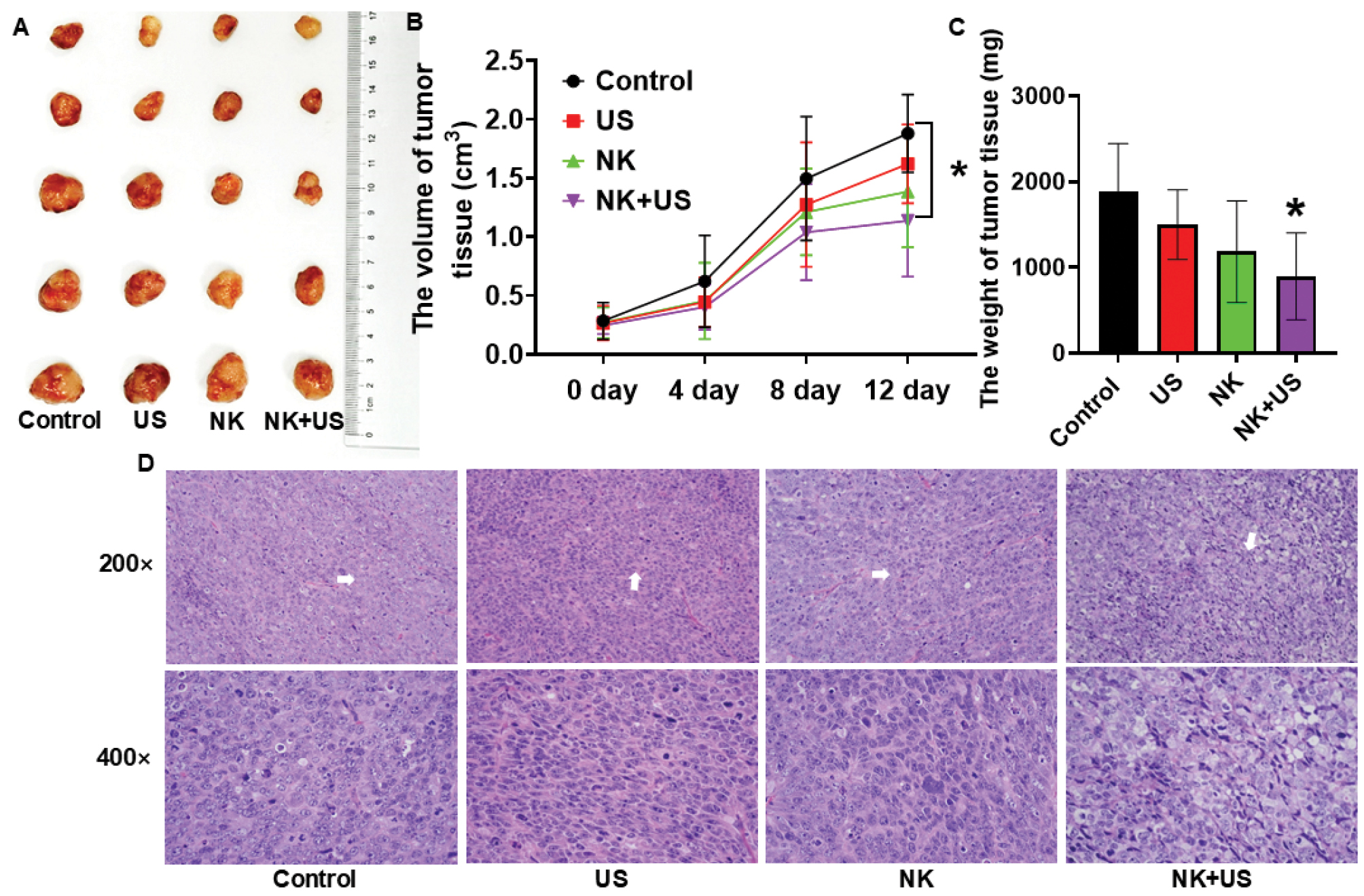 Next follows the figure caption