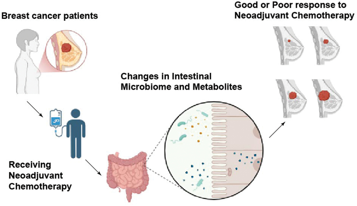 Next follows the graphical abstract