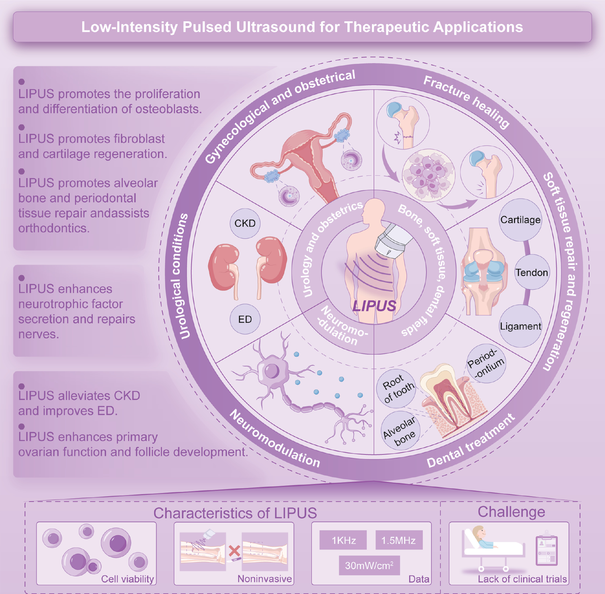 Next follows the figure caption