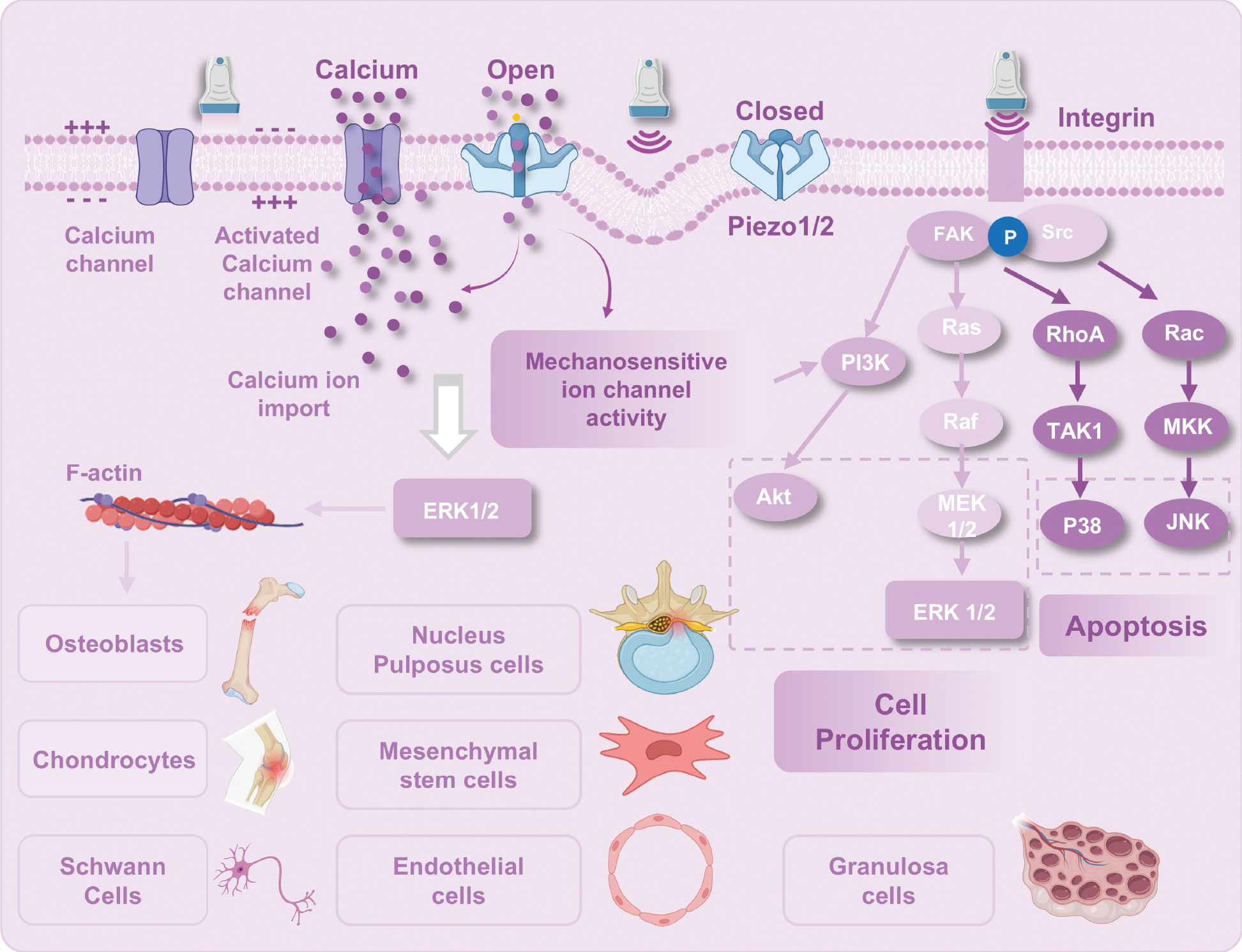 Next follows the figure caption