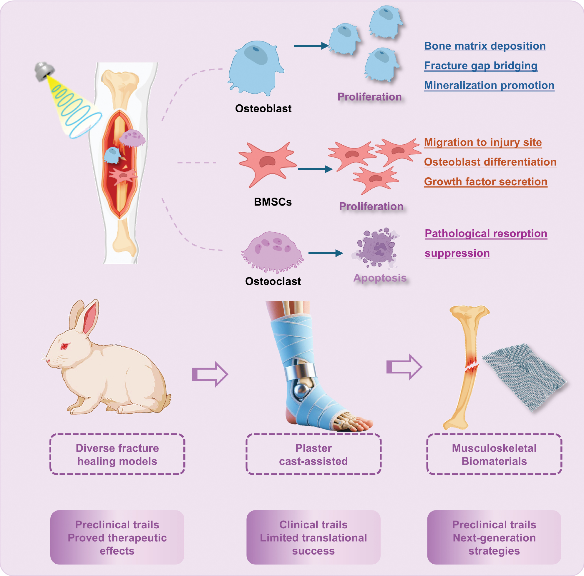 Next follows the figure caption