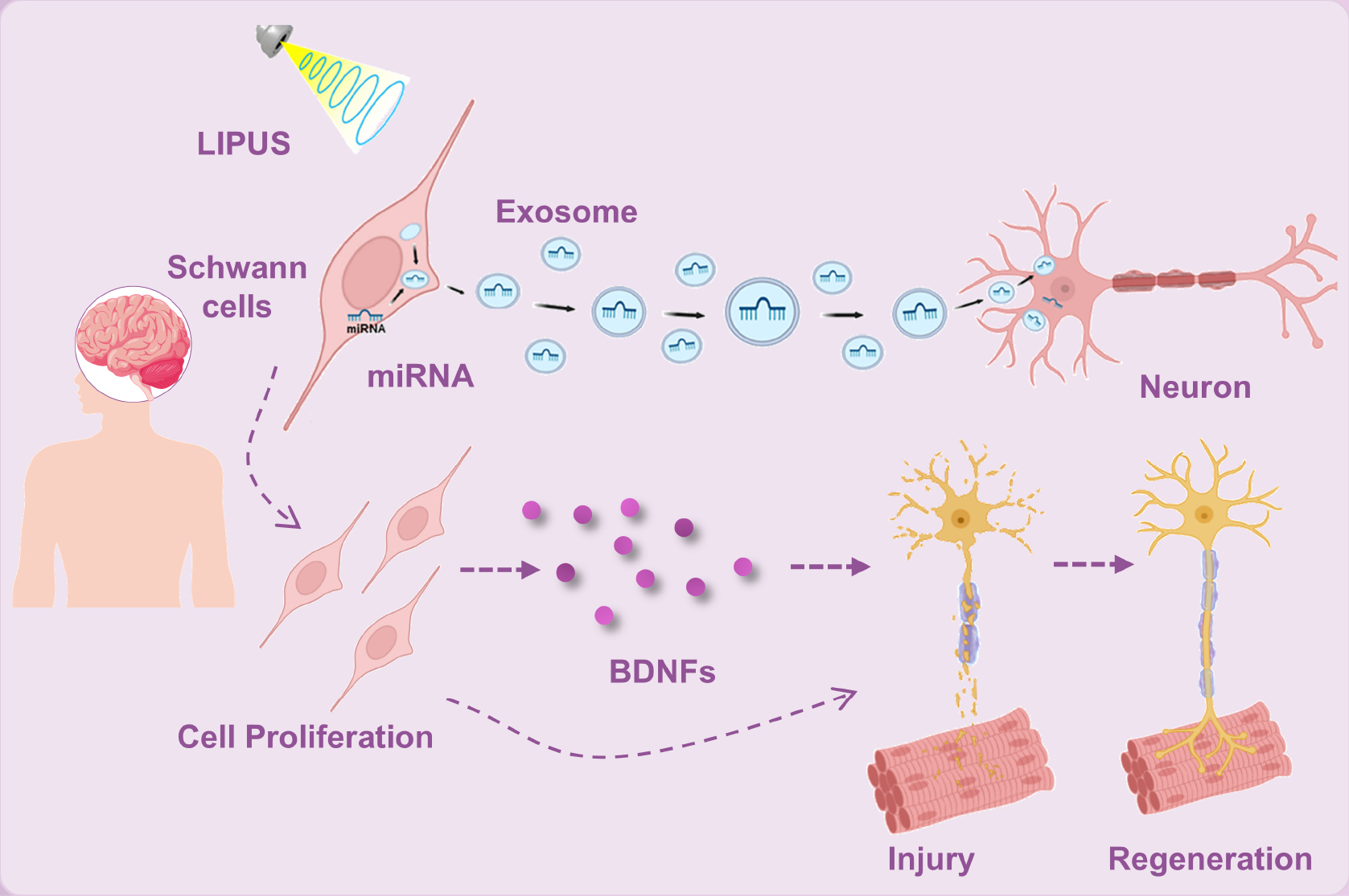 Next follows the figure caption