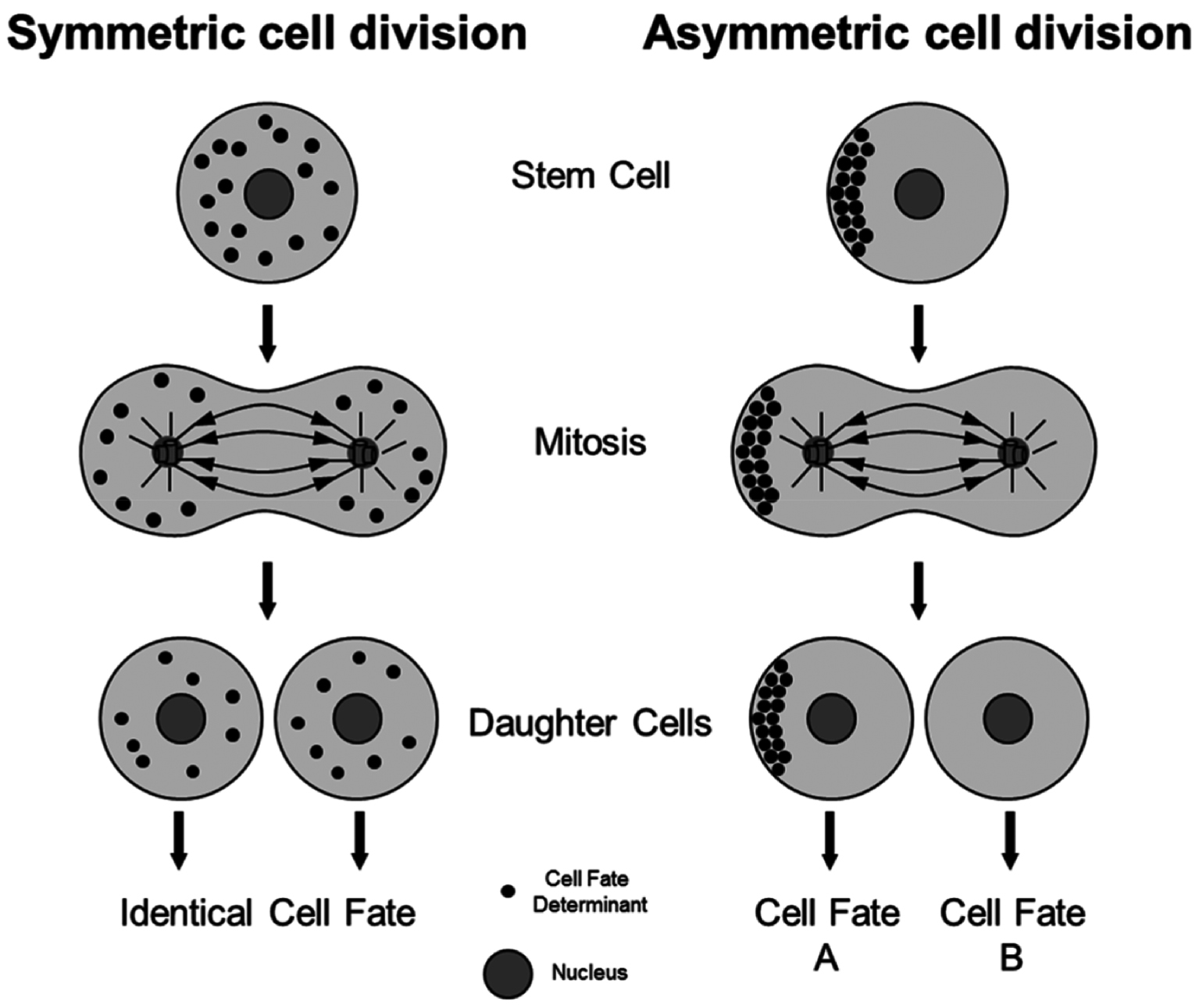 Next follows the figure caption