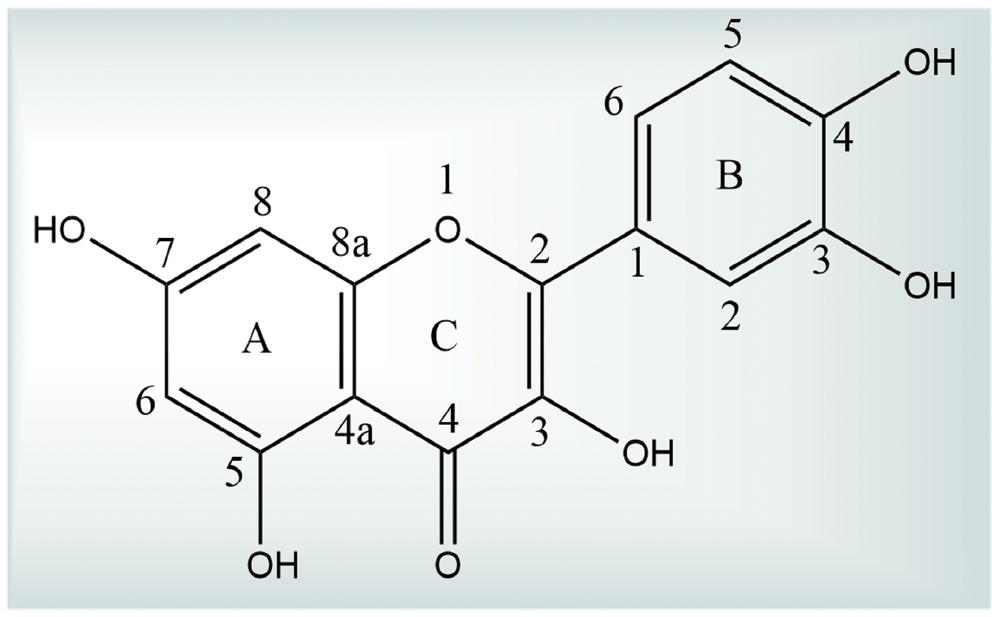 Next follows the figure caption