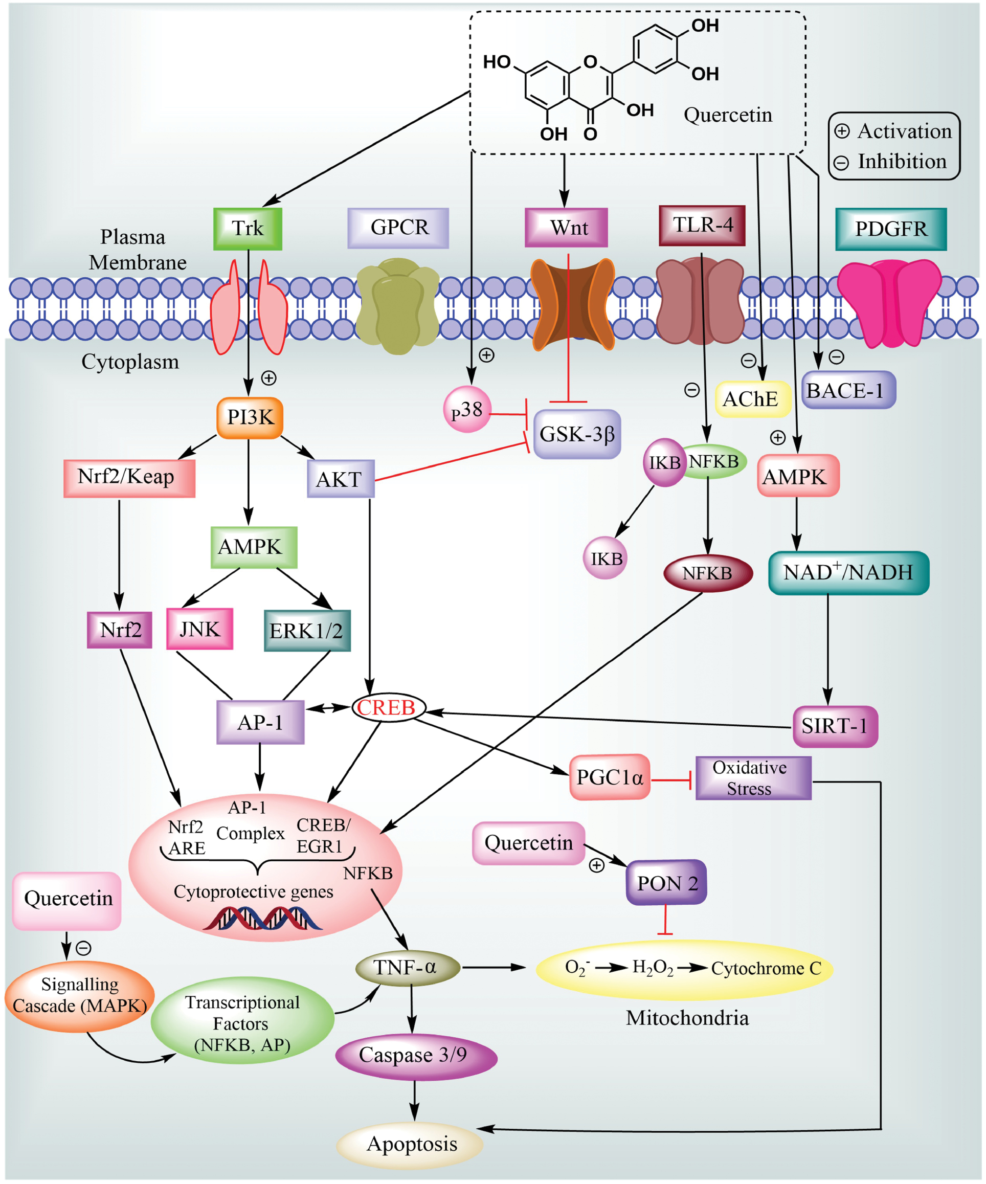 Next follows the figure caption