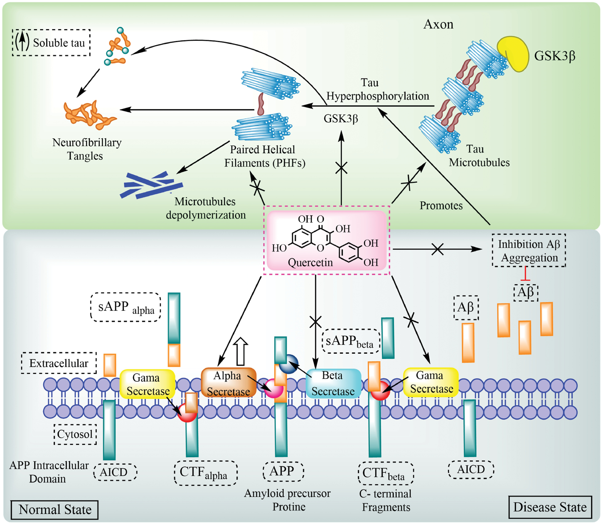 Next follows the figure caption