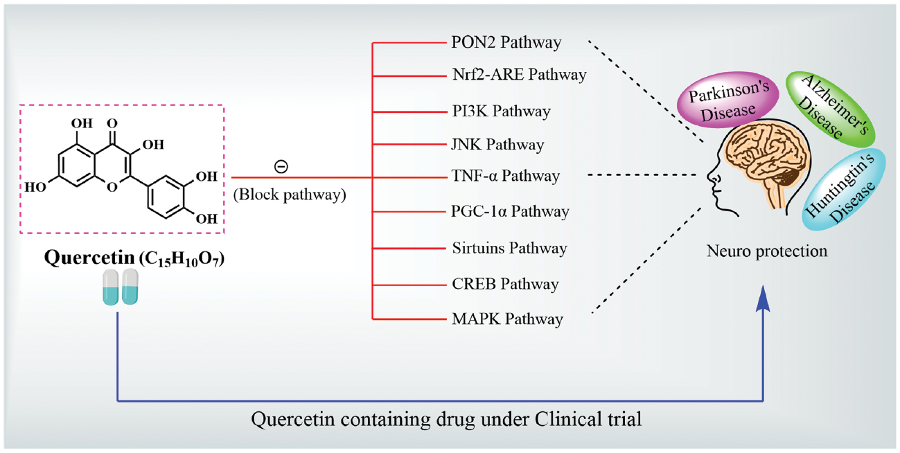 Next follows the graphical abstract
