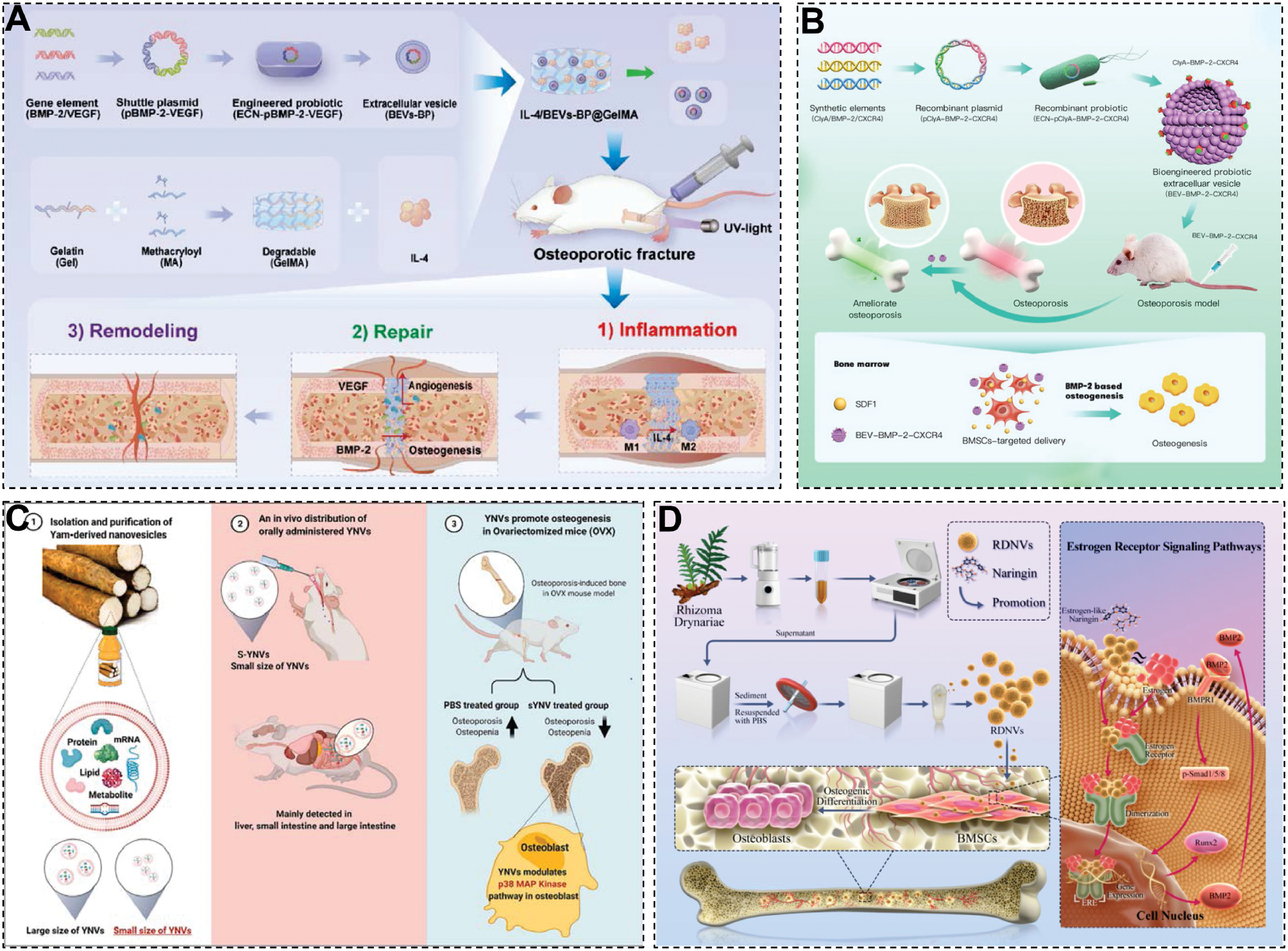 Next follows the figure caption