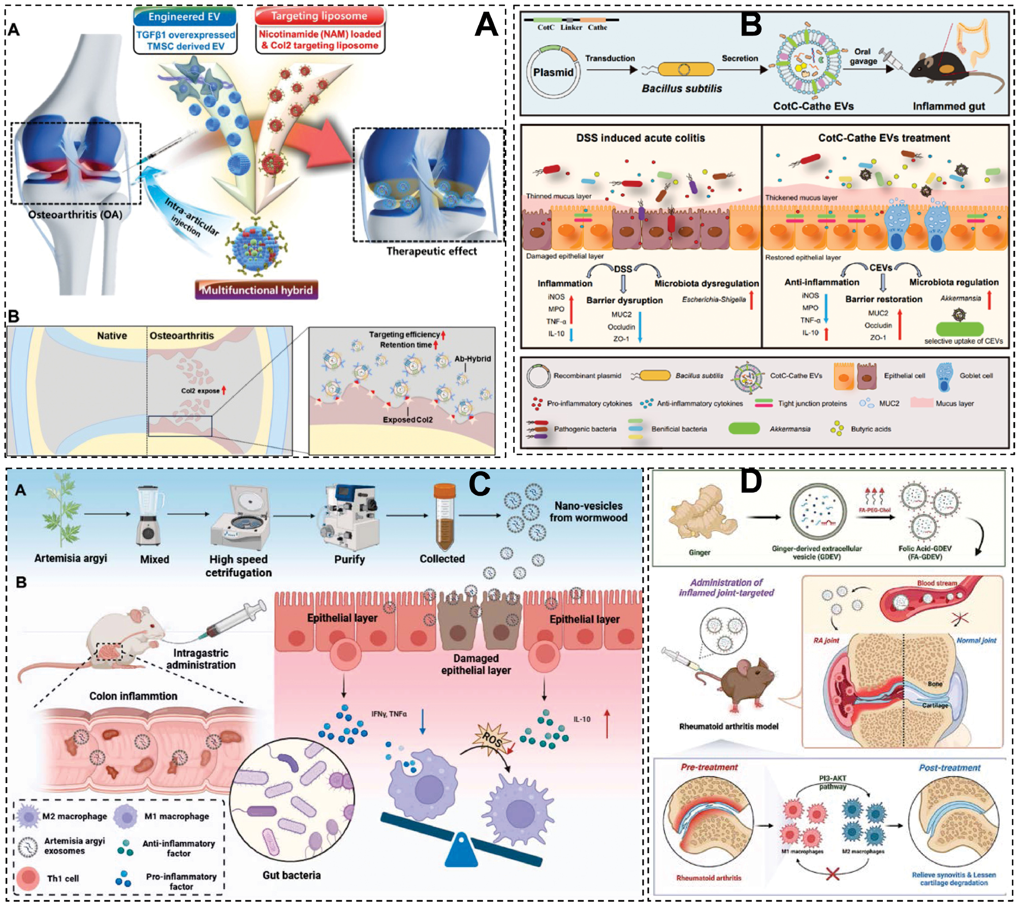 Next follows the figure caption