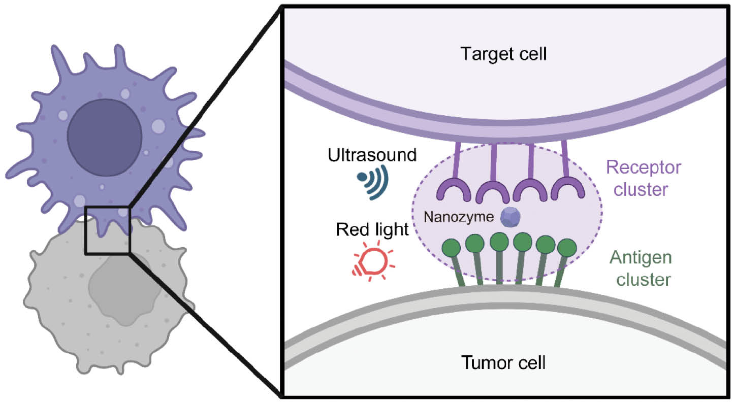 Next follows the figure caption