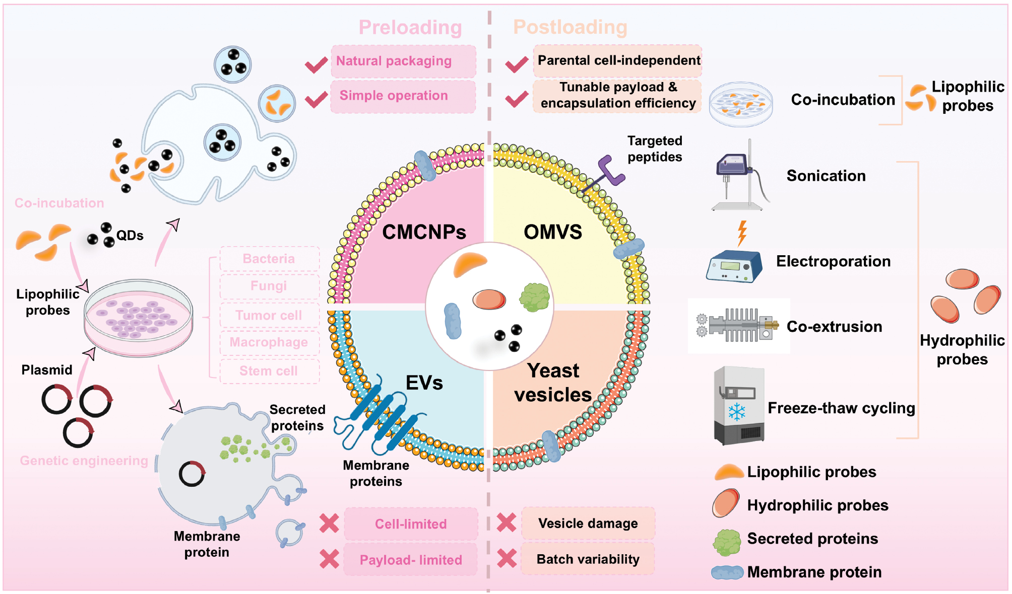 Next follows the figure caption