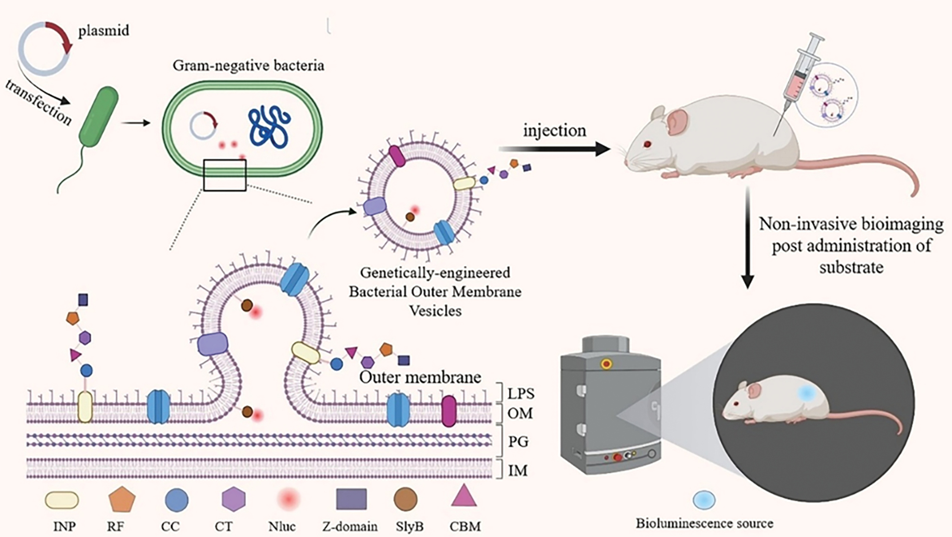 Next follows the figure caption