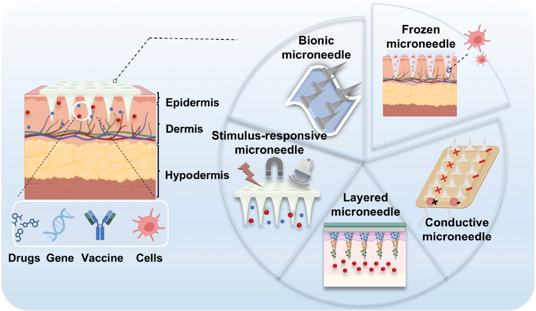 Next follows the figure caption