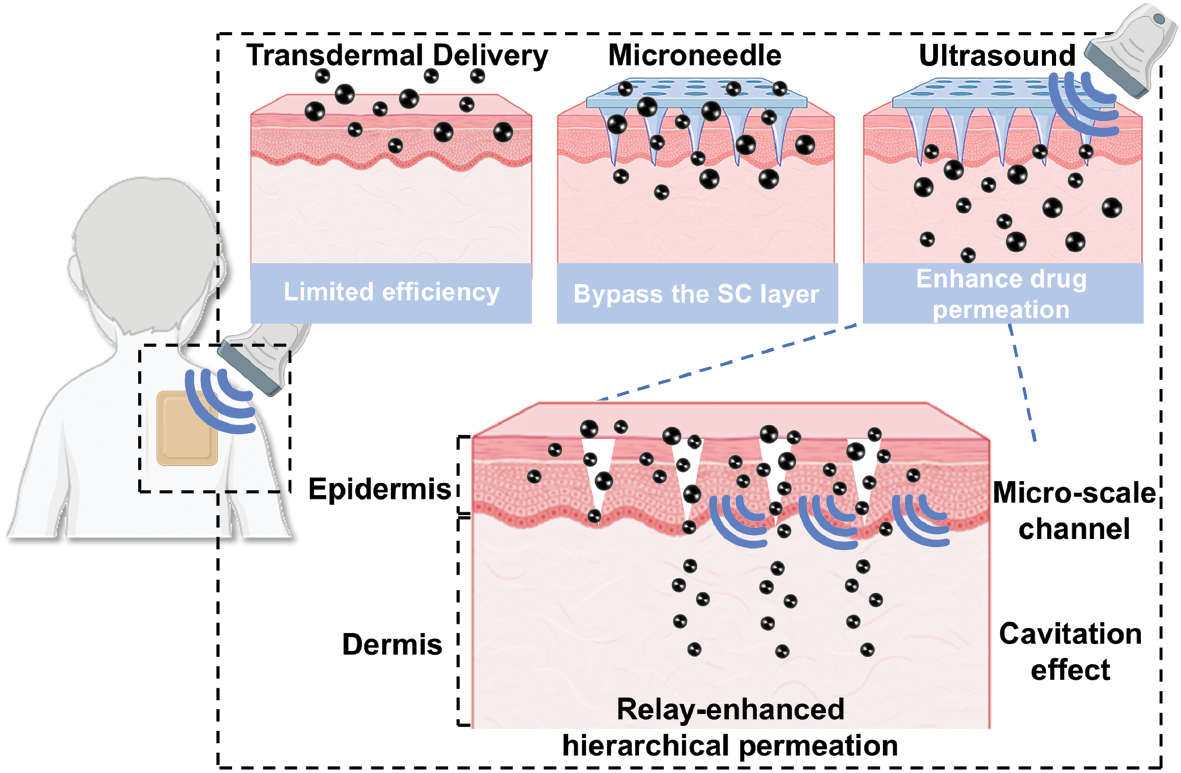 Next follows the graphical abstract