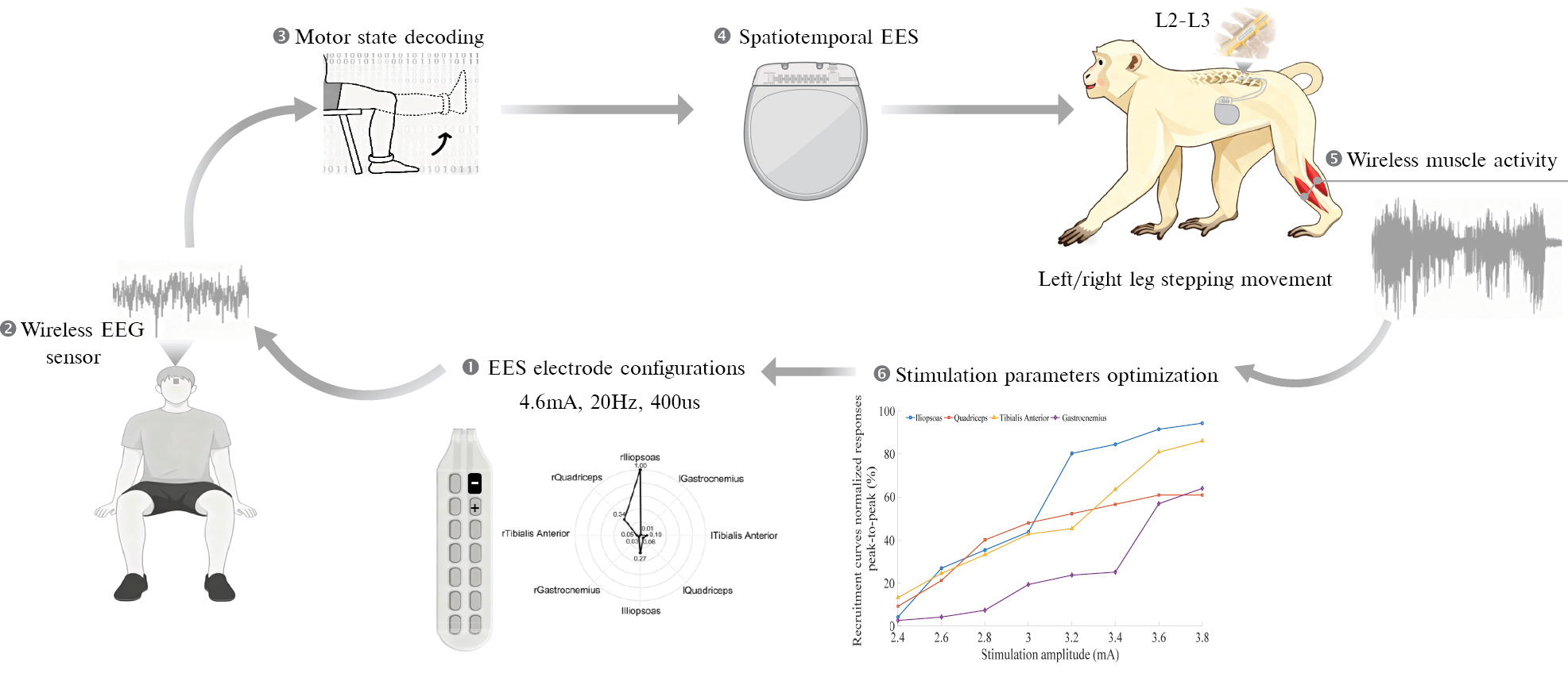 Next follows the figure caption