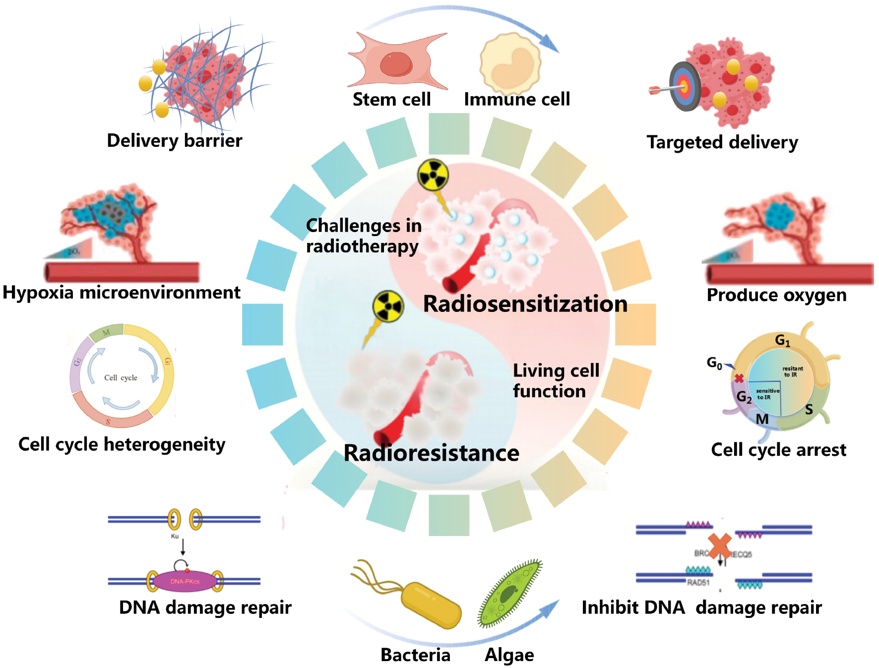 Next follows the figure caption