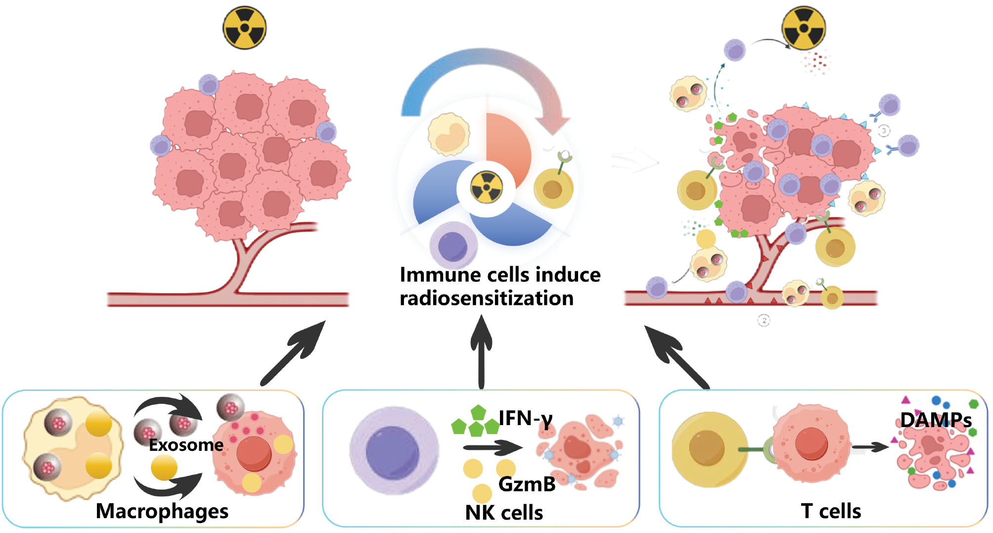 Next follows the figure caption