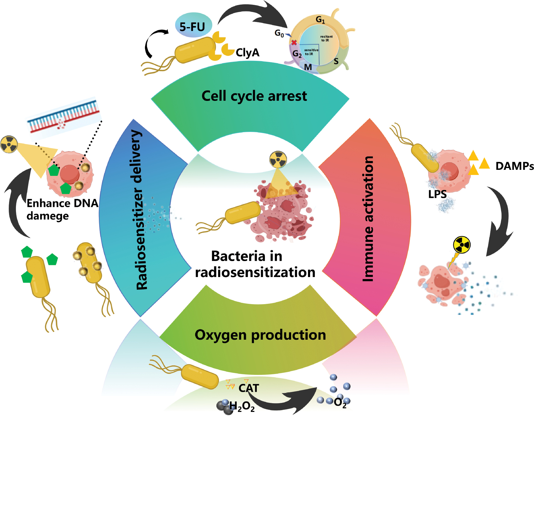 Next follows the figure caption