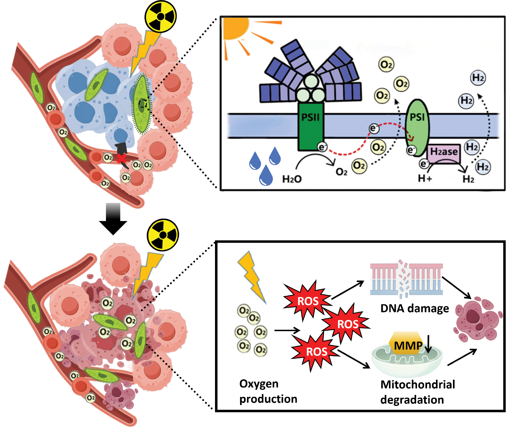 Next follows the figure caption