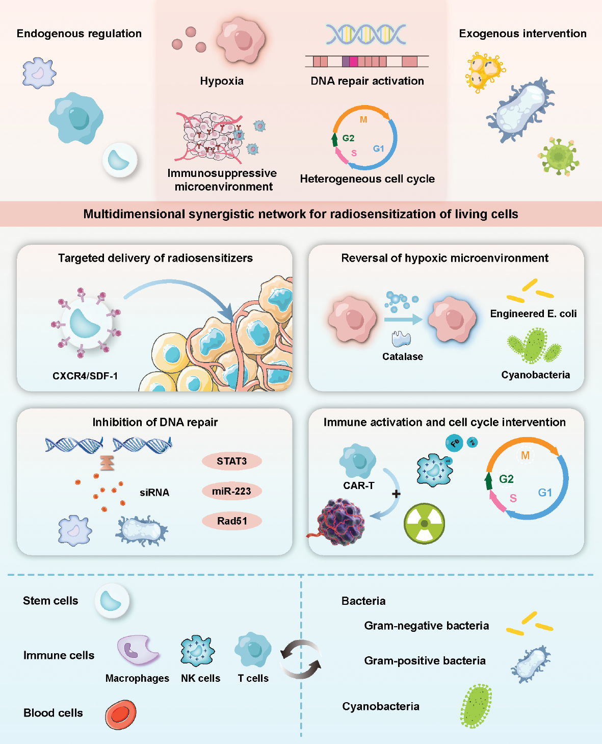 Next follows the graphical abstract
