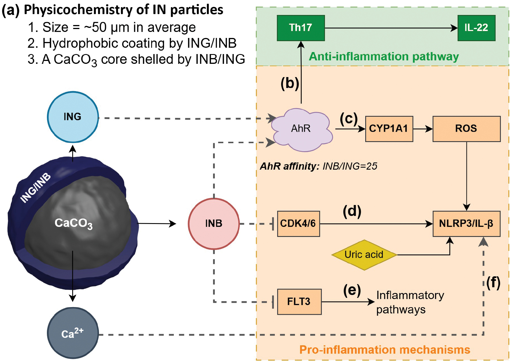 Next follows the figure caption