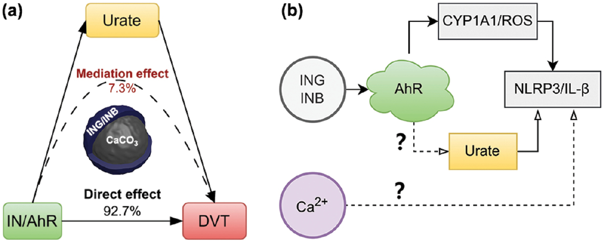 Next follows the graphical abstract