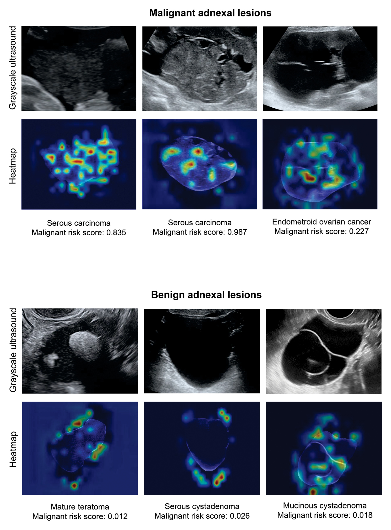 Next follows the figure caption