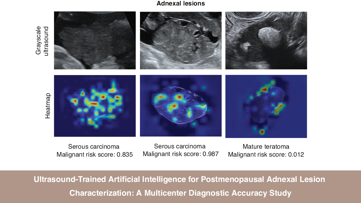 Next follows the graphical abstract