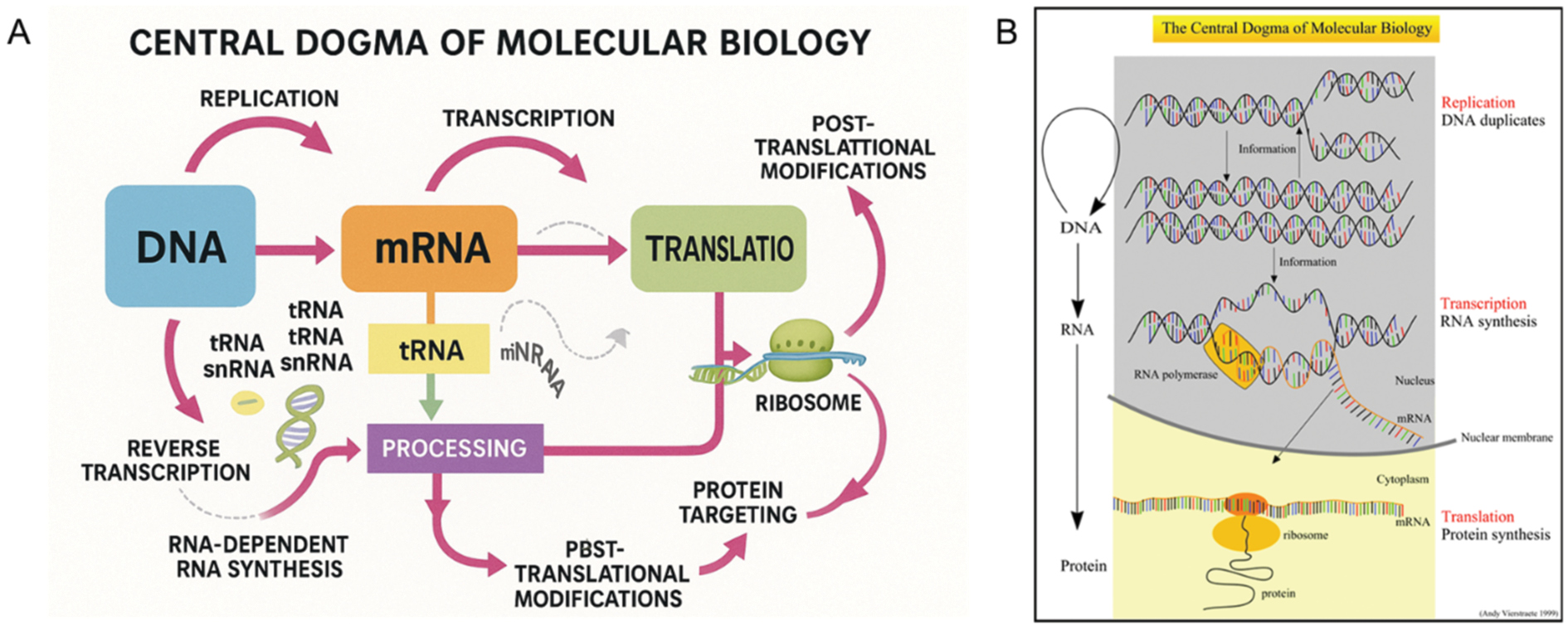 Next follows the figure caption