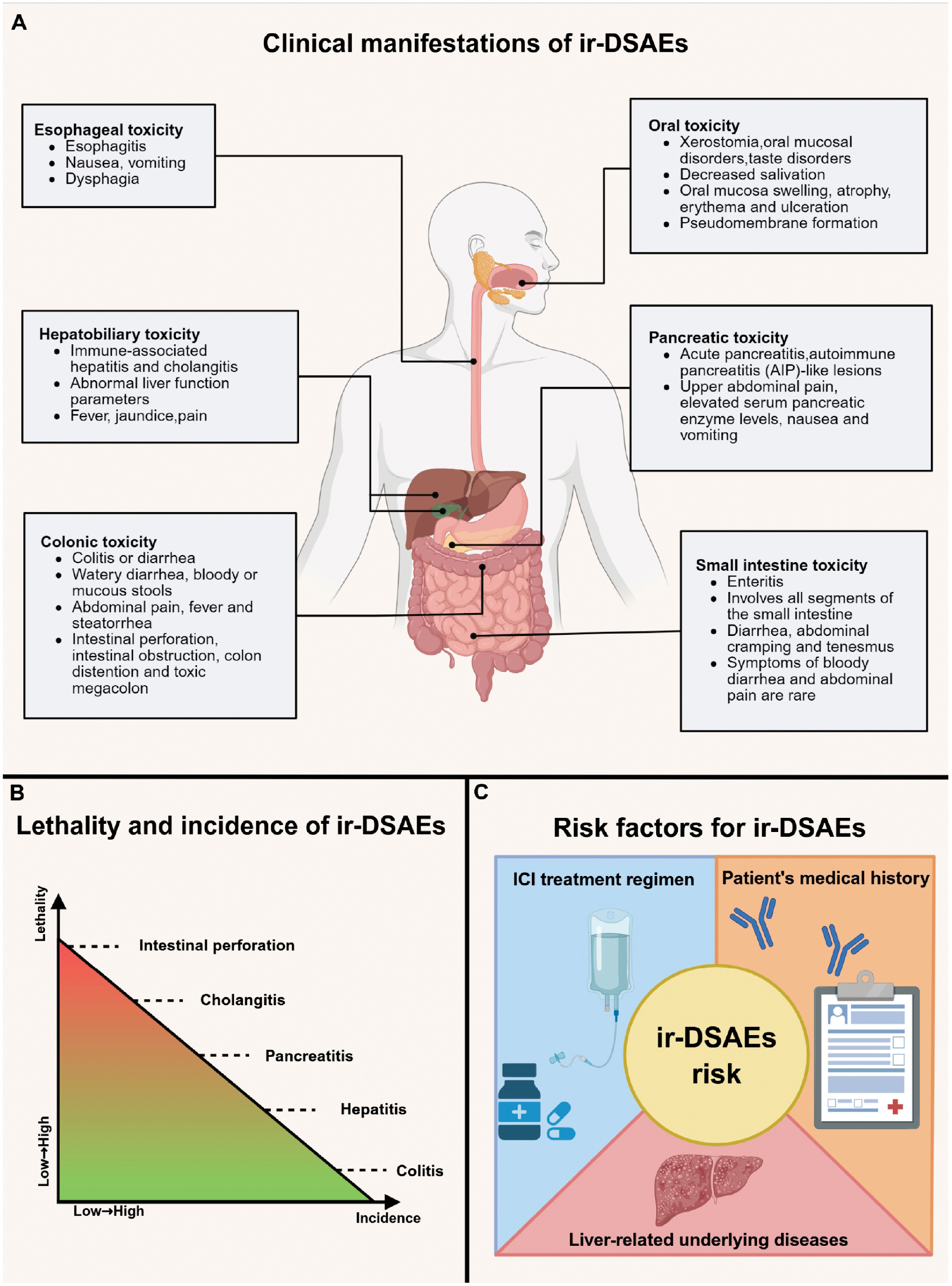 Next follows the figure caption