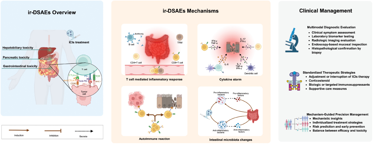 Next follows the graphical abstract