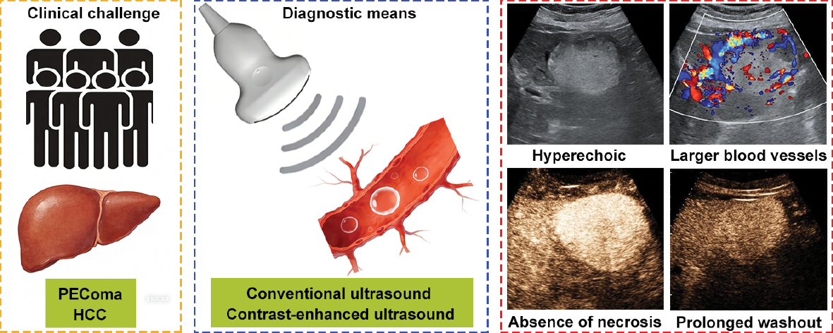 Next follows the graphical abstract