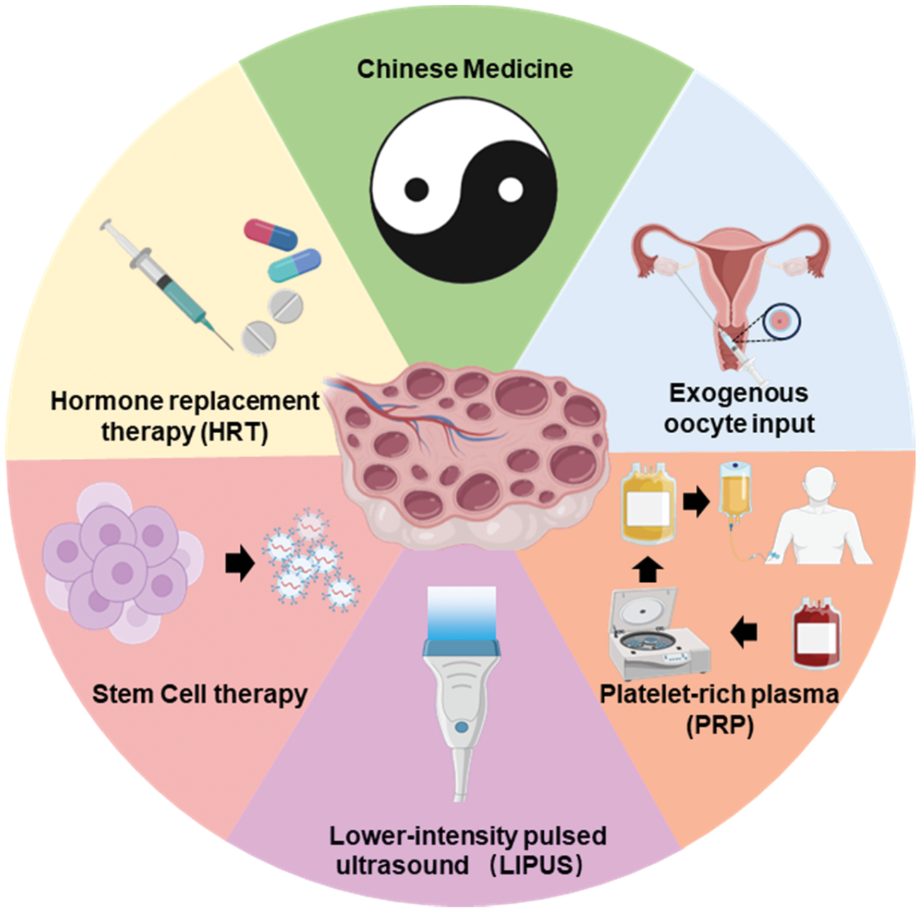 Next follows the figure caption