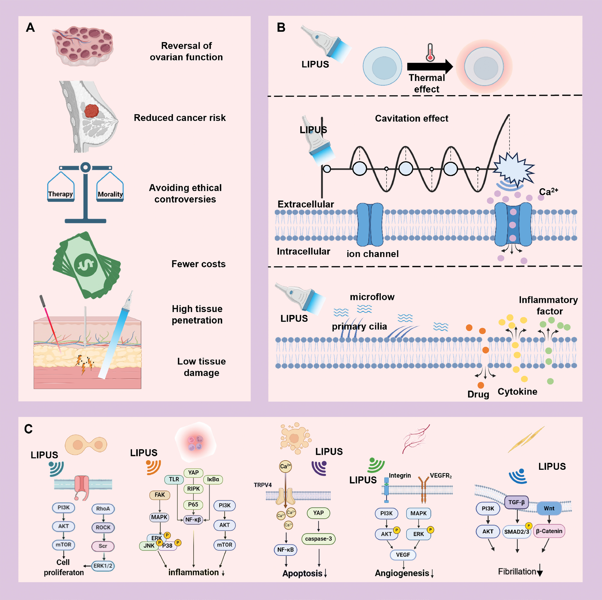 Next follows the figure caption