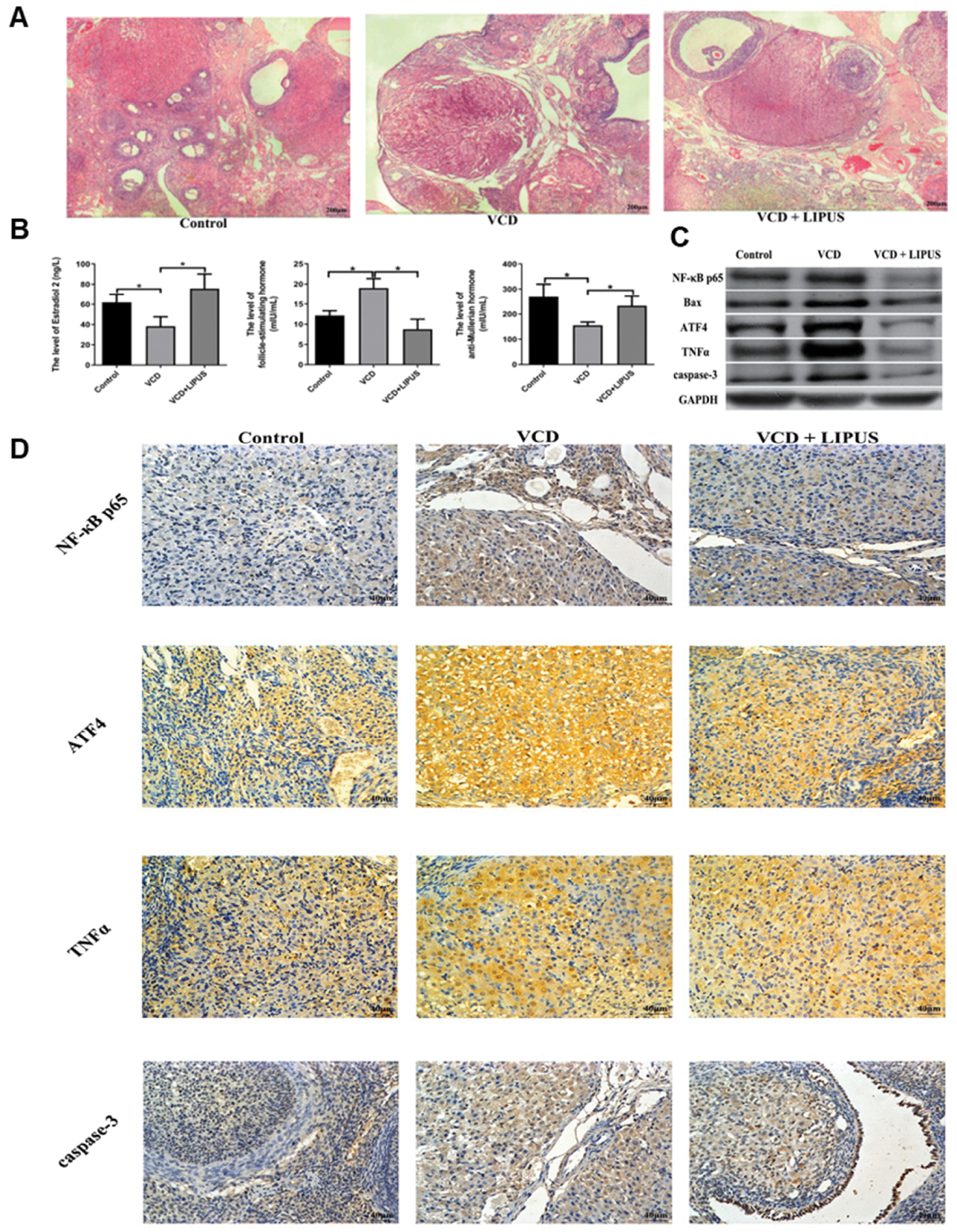 Next follows the figure caption