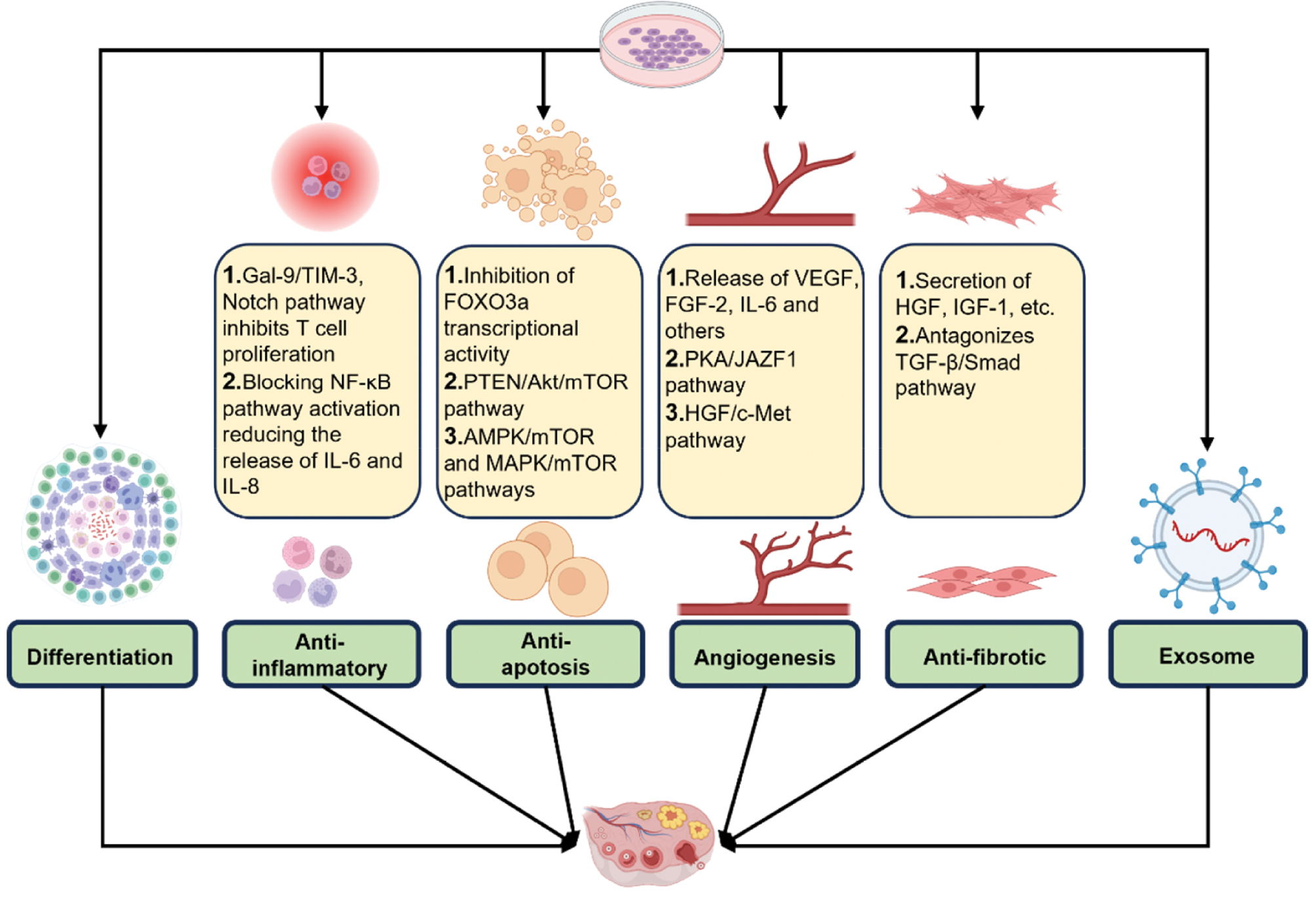 Next follows the figure caption